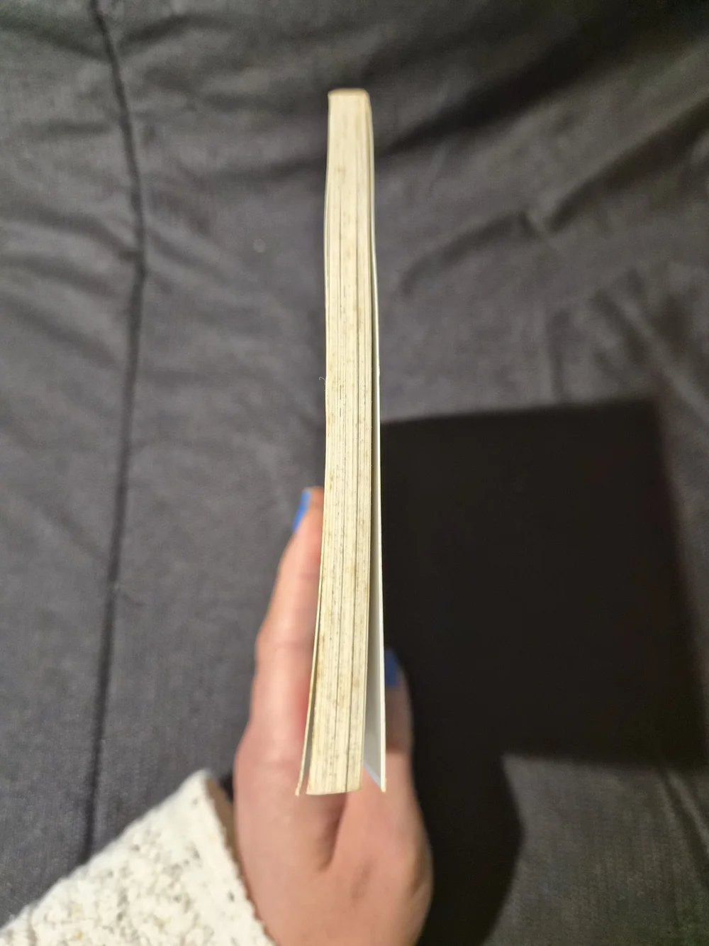 The Berenstain Bear Books